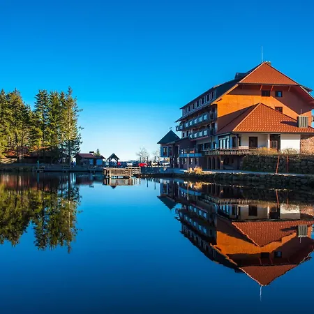 Διαμέρισμα Schusterjunge A6 Sasbachwalden